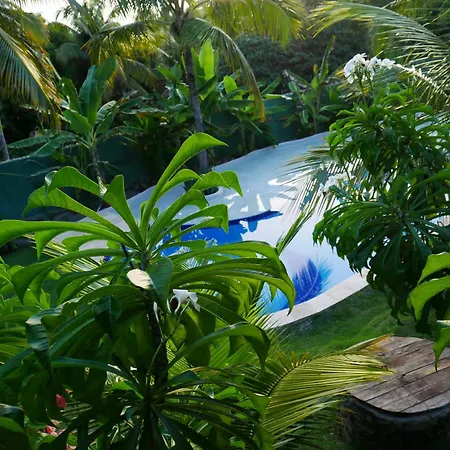 Spa Da Floresta I Pipa-Sibauma I 5Min Da Praia Tibau do Sul Exterior photo